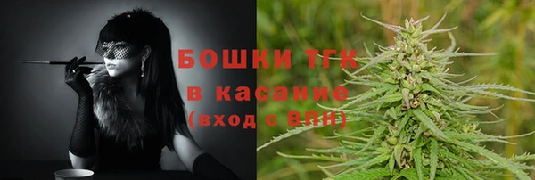 ECSTASY Богородск